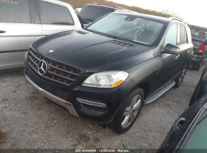 Lot #2992824450 2015 MERCEDES-BENZ ML 350