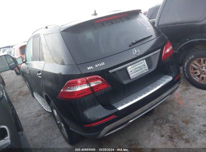 Lot #2992824450 2015 MERCEDES-BENZ ML 350