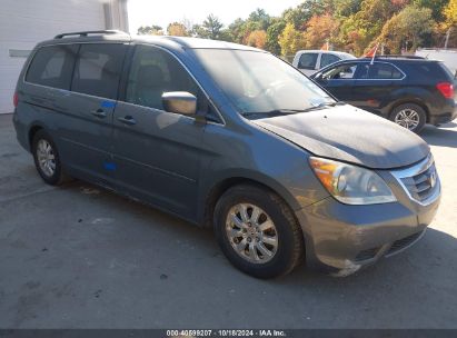 Lot #2995299095 2010 HONDA ODYSSEY EX-L