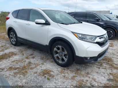 Lot #2995299054 2019 HONDA CR-V EX