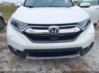 Lot #2995299054 2019 HONDA CR-V EX