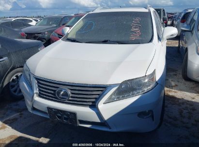 Lot #2992824012 2013 LEXUS RX 350