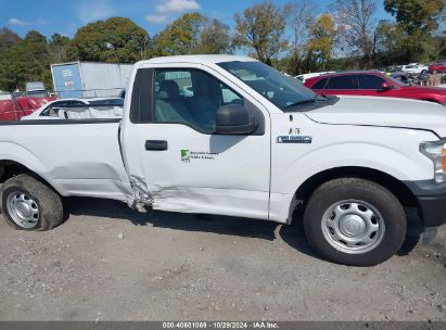 Lot #2996533381 2019 FORD F-150 XL