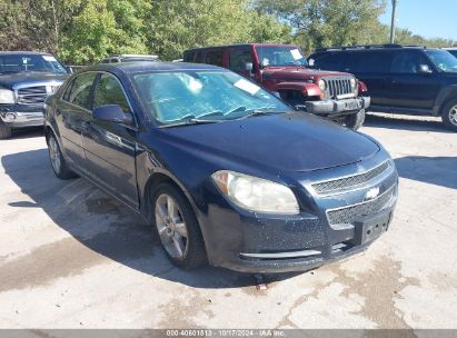 Lot #2992830204 2010 CHEVROLET MALIBU LT