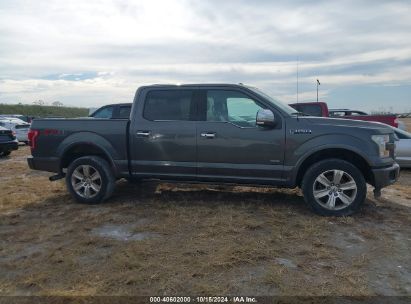 Lot #2991586779 2015 FORD F-150 PLATINUM