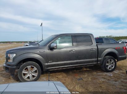 Lot #2991586779 2015 FORD F-150 PLATINUM