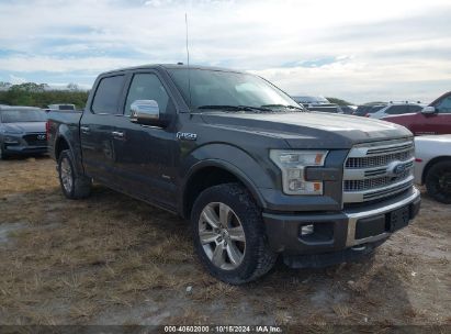 Lot #2991586779 2015 FORD F-150 PLATINUM