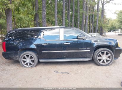 Lot #2995298931 2010 CADILLAC ESCALADE ESV LUXURY