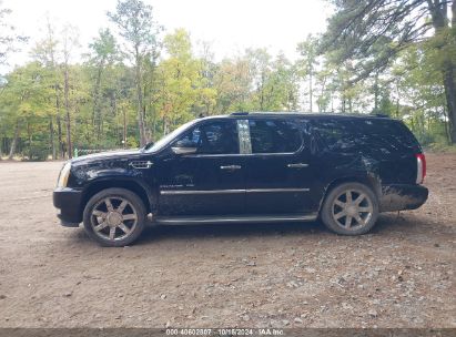 Lot #2995298931 2010 CADILLAC ESCALADE ESV LUXURY