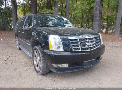 Lot #2995298931 2010 CADILLAC ESCALADE ESV LUXURY