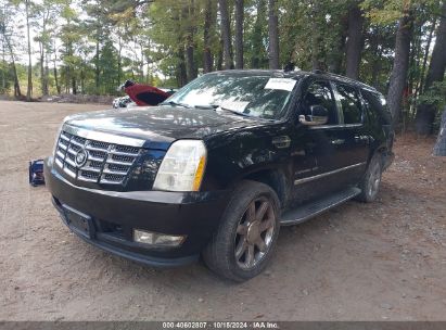 Lot #2995298931 2010 CADILLAC ESCALADE ESV LUXURY