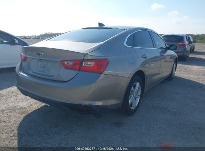 Lot #3037548104 2022 CHEVROLET MALIBU FWD LS