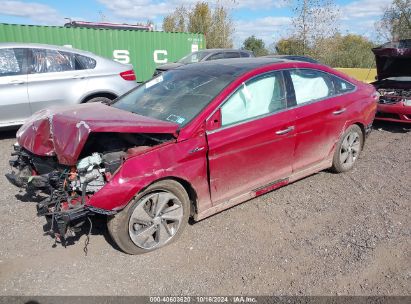 Lot #3037548108 2016 HYUNDAI SONATA HYBRID LIMITED