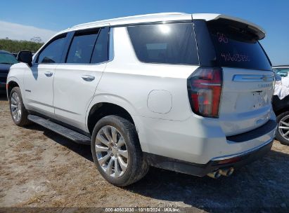 Lot #2992824397 2023 CHEVROLET TAHOE 4WD PREMIER