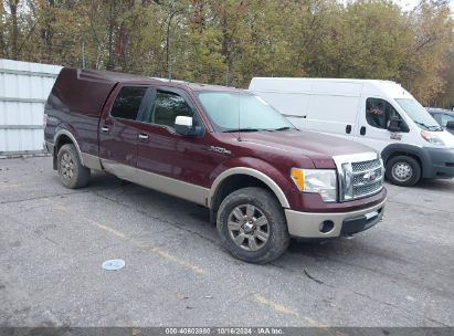 Lot #2992824377 2010 FORD F-150 FX4/HARLEY-DAVIDSON/KING RANCH/LARIAT/PLATINUM/XL/XLT