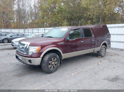 Lot #2992824377 2010 FORD F-150 FX4/HARLEY-DAVIDSON/KING RANCH/LARIAT/PLATINUM/XL/XLT