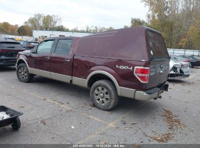 Lot #2992824377 2010 FORD F-150 FX4/HARLEY-DAVIDSON/KING RANCH/LARIAT/PLATINUM/XL/XLT