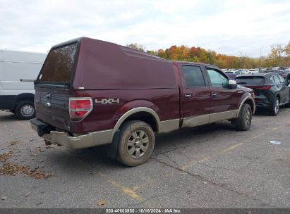 Lot #2992824377 2010 FORD F-150 FX4/HARLEY-DAVIDSON/KING RANCH/LARIAT/PLATINUM/XL/XLT