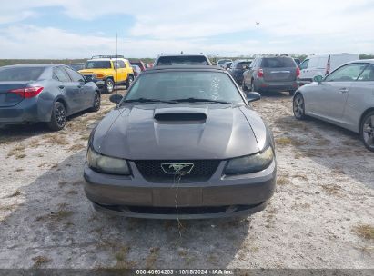 Lot #2995298770 2003 FORD MUSTANG GT