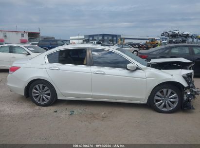 Lot #2995298761 2011 HONDA ACCORD 3.5 EX-L