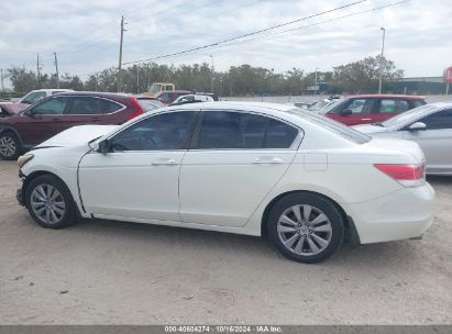 Lot #2995298761 2011 HONDA ACCORD 3.5 EX-L