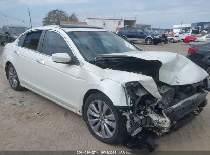 Lot #2995298761 2011 HONDA ACCORD 3.5 EX-L