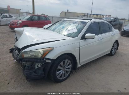 Lot #2995298761 2011 HONDA ACCORD 3.5 EX-L