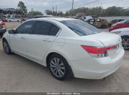 Lot #2995298761 2011 HONDA ACCORD 3.5 EX-L