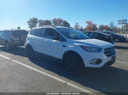 Lot #2990356851 2017 FORD ESCAPE SE