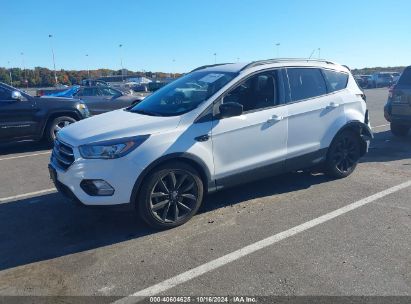 Lot #2990356851 2017 FORD ESCAPE SE