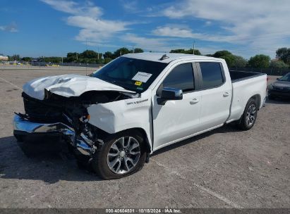 Lot #2990348766 2020 CHEVROLET SILVERADO 1500 2WD  STANDARD BED LT