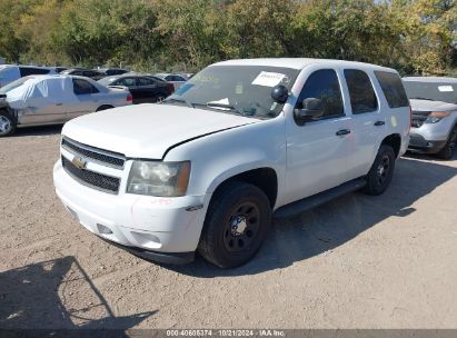 Lot #3005349413 2011 CHEVROLET TAHOE COMMERCIAL FLEET