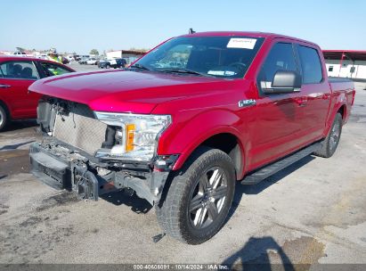 Lot #2990353499 2020 FORD F-150 XLT