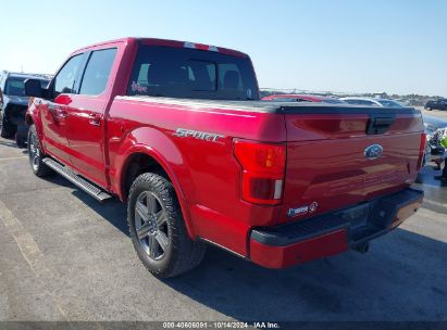 Lot #2990353499 2020 FORD F-150 XLT