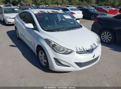 Lot #3042560862 2015 HYUNDAI ELANTRA SE