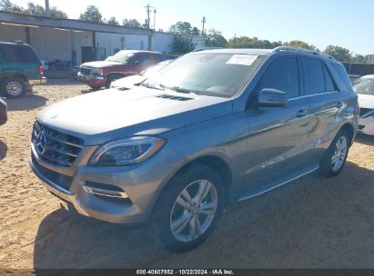 Lot #2992824358 2013 MERCEDES-BENZ M-CLASS ML 350