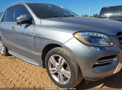 Lot #2992824358 2013 MERCEDES-BENZ M-CLASS ML 350