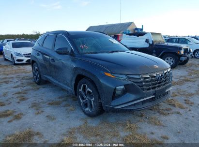 Lot #2995298961 2022 HYUNDAI TUCSON SEL