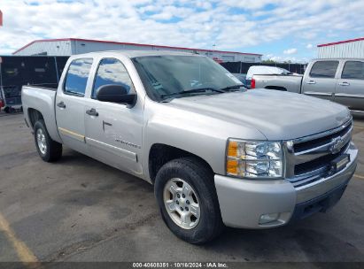 Lot #3035076144 2008 CHEVROLET SILVERADO 1500 LT1