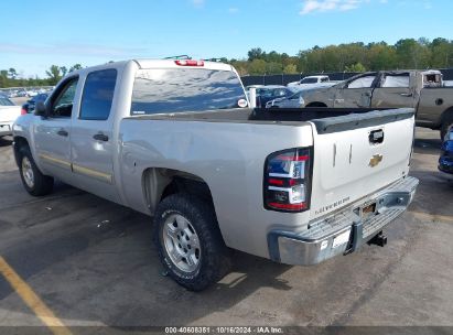 Lot #3035076144 2008 CHEVROLET SILVERADO 1500 LT1