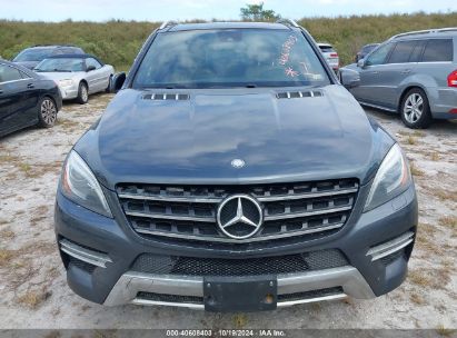 Lot #3006596065 2013 MERCEDES-BENZ ML 550 4MATIC