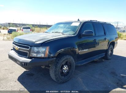 Lot #3050085599 2013 CHEVROLET SUBURBAN 1500 LT