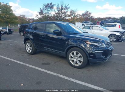 Lot #2992824320 2019 LAND ROVER RANGE ROVER EVOQUE SE/SE PREMIUM