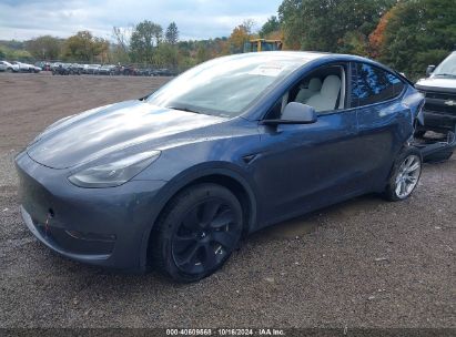 Lot #2992824293 2023 TESLA MODEL Y AWD/LONG RANGE DUAL MOTOR ALL-WHEEL DRIVE