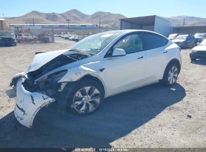 Lot #2996535964 2023 TESLA MODEL Y AWD/LONG RANGE DUAL MOTOR ALL-WHEEL DRIVE