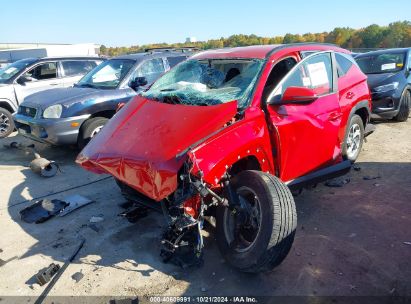 Lot #2995298867 2023 HYUNDAI TUCSON SEL