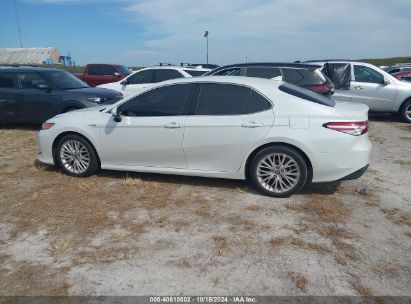 Lot #2992824229 2020 TOYOTA CAMRY XLE HYBRID