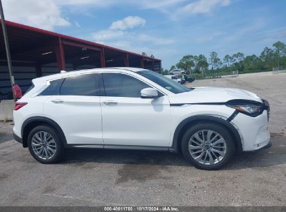 Lot #2995282553 2023 INFINITI QX50 PURE AWD