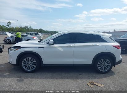 Lot #2995282553 2023 INFINITI QX50 PURE AWD