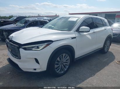 Lot #2995282553 2023 INFINITI QX50 PURE AWD